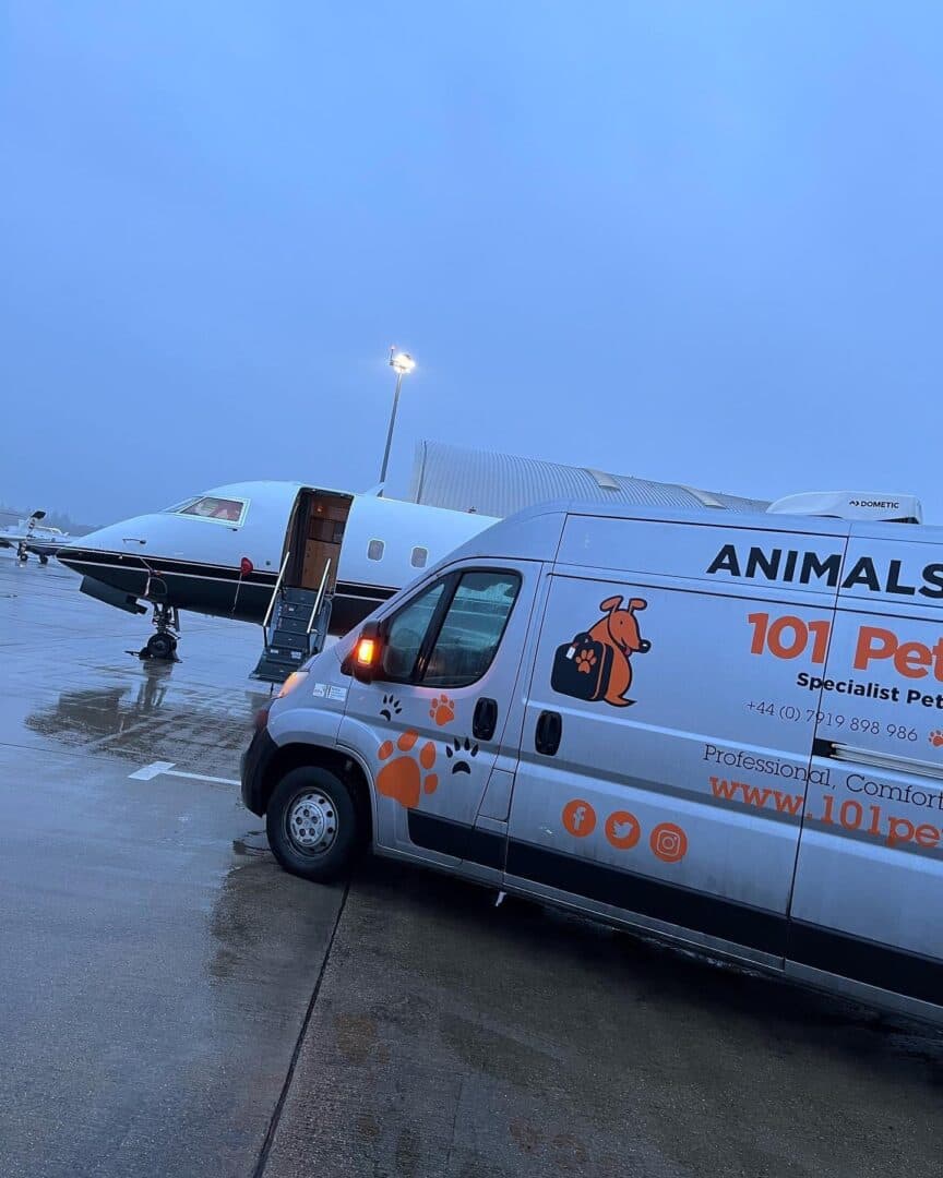 Pet courier services